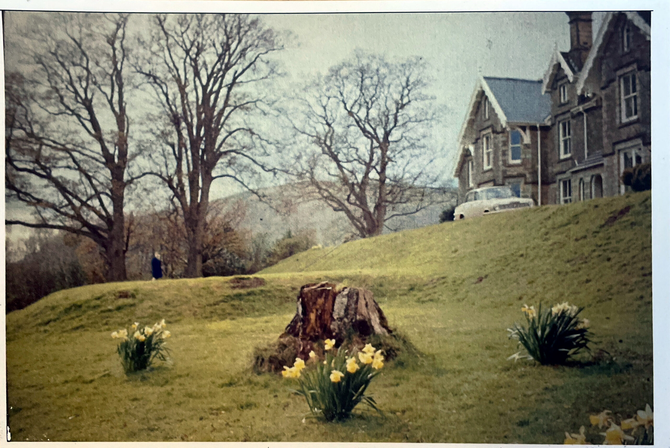 Dunfield Spring 1964