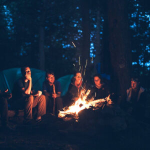 Firewood (6 Logs)